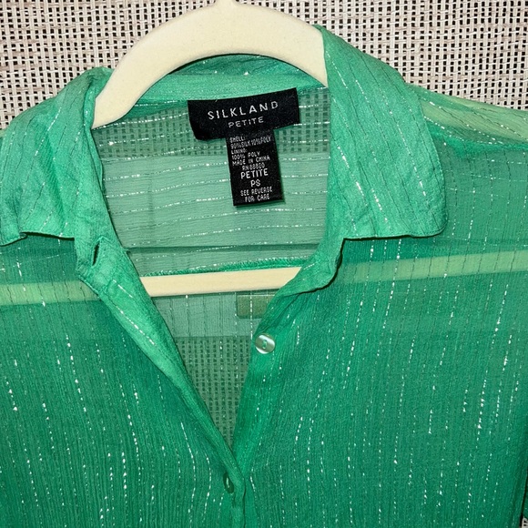 Vintage SilkLand Petite Sheer Shimmer Blouse - Picture 2 of 2